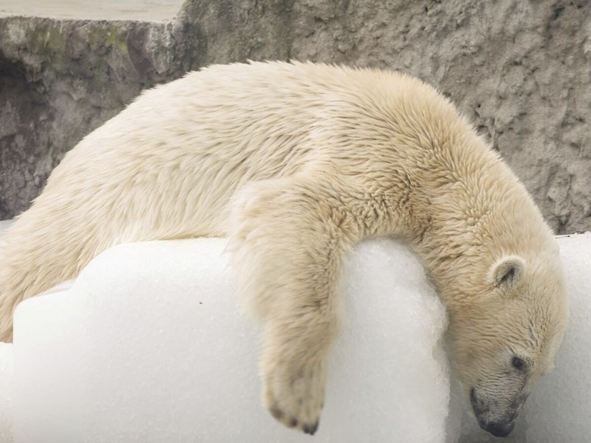 Niektoré štáty budú neobývateľné, varuje nová klimatická správa