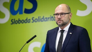 Gorilu musíme ukončiť. Sulík chce aktérov kauzy vidieť na súde