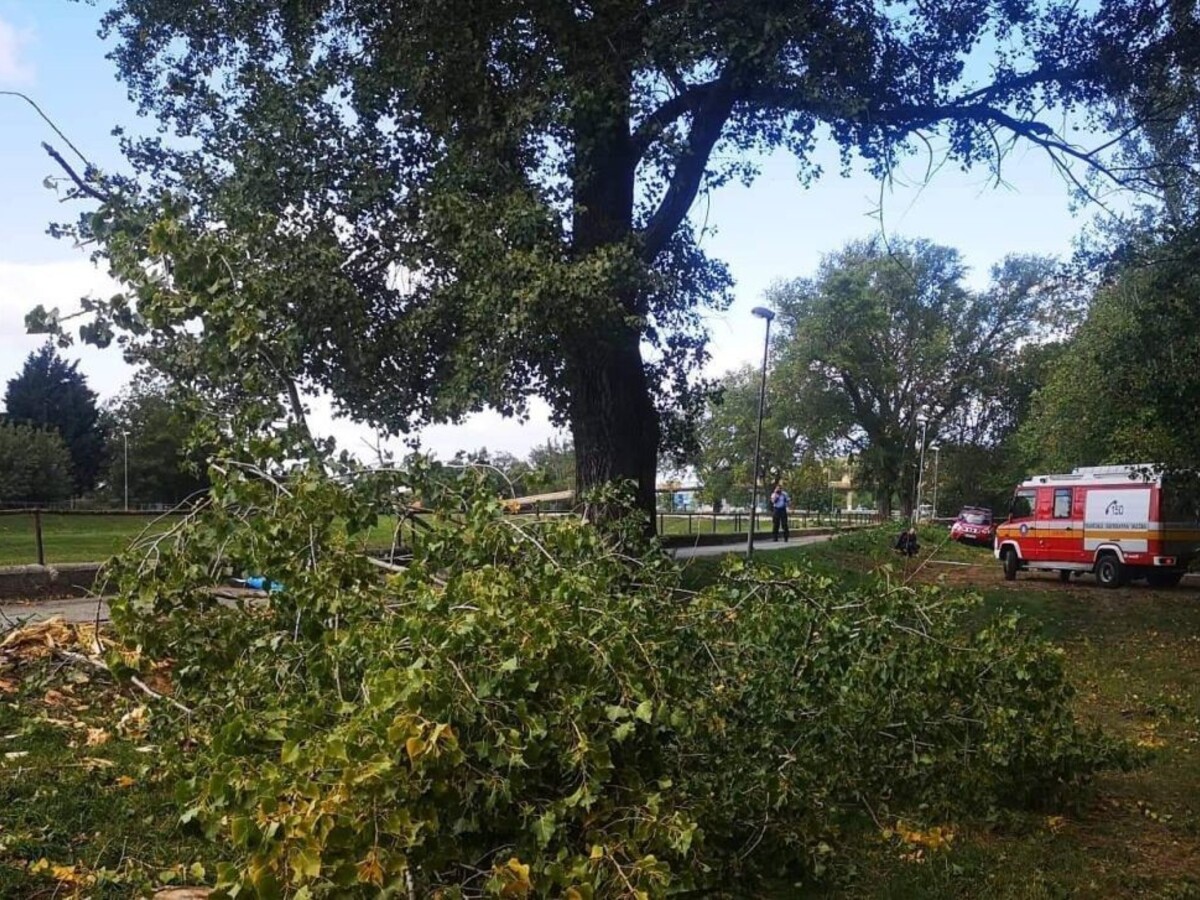 Slovensko čelí silnému vetru, strom zabil školáka na prechádzke