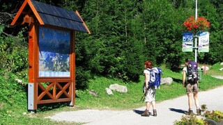 Poukazy budú využívať aj rodiny zamestnancov, sľubuje Danko