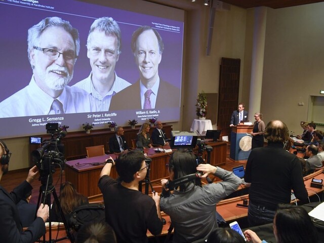 Nobelovu cenu získal výskum, ktorý dláždi cestu liečbe rakoviny