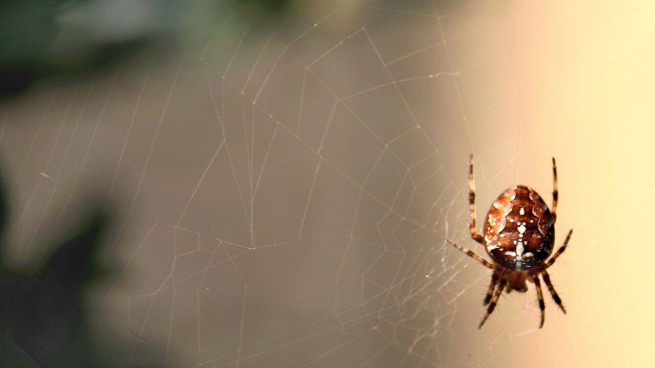 Napĺňajú sa čierne scenáre, klíma sa mení. Babie leto nebude ako zvyčajne
