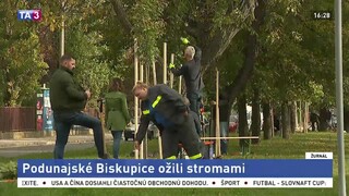 Kancelárske stoličky vymenili za lopaty a vysadili stovky stromov