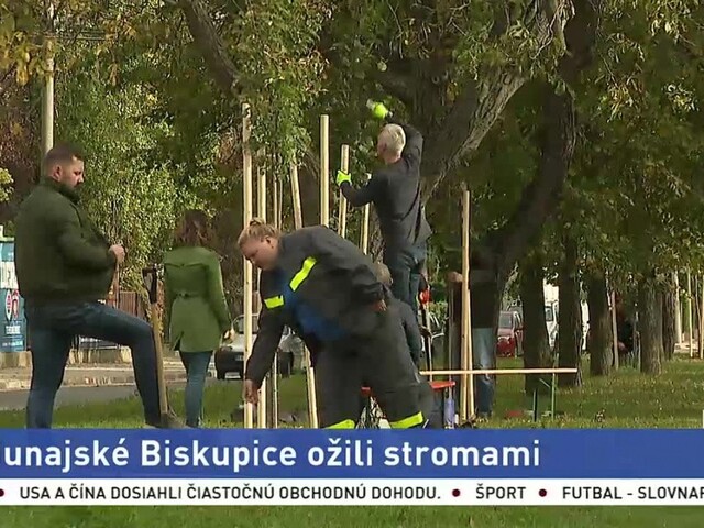 Kancelárske stoličky vymenili za lopaty a vysadili stovky stromov