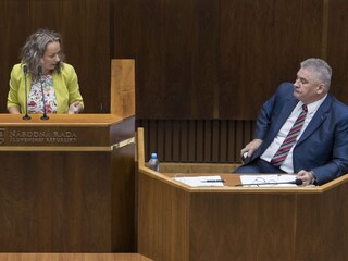 Opozičný návrh o príspevkoch ŤZP schválili napriek výhradám rezortu