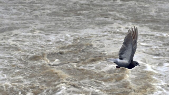 V Rusku sa pretrhla priehrada, voda zaplavila ubytovne