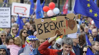Britskí poslanci schválili nečakaný dodatok, zrejme posunie brexit
