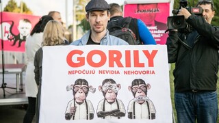 Gorila, Opička či Trnka. Premiér i opozícia chcú upratať v justícii