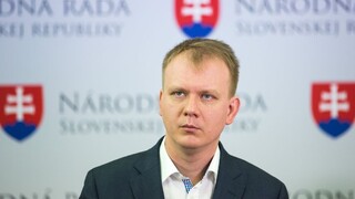 Mohla si Jankovská dovoliť byt? Deravé zákony, reaguje PS/Spolu