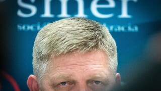 Členstvo v strane Smer si pozastavilo vedenie dvoch okresov