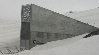 Semená slovenských rastlín by mali prežiť aj apokalypsu