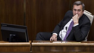 Nový rezort nevznikne, dva návrhy SNS v parlamente neprešli