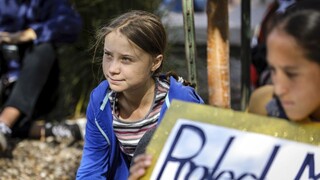 Po švédskej aktivistke pomenovali nový objav v ríši zvierat