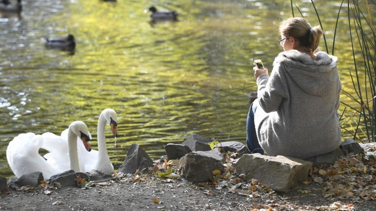 Babie leto tento rok prekvapilo, prekonalo niekoľko rekordov