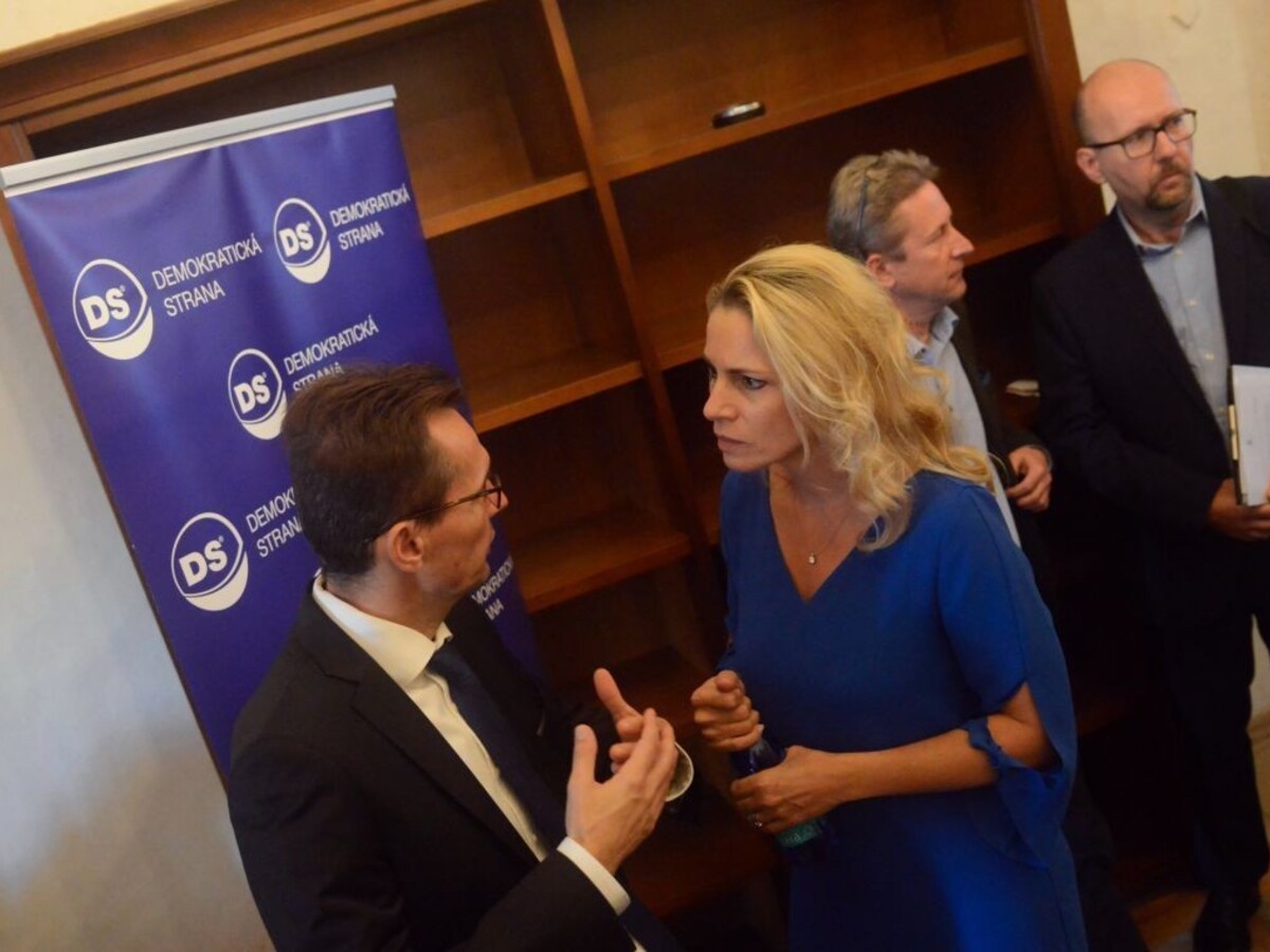 Demokrati rokovali už s novými členmi, zvolili si podpredsedov