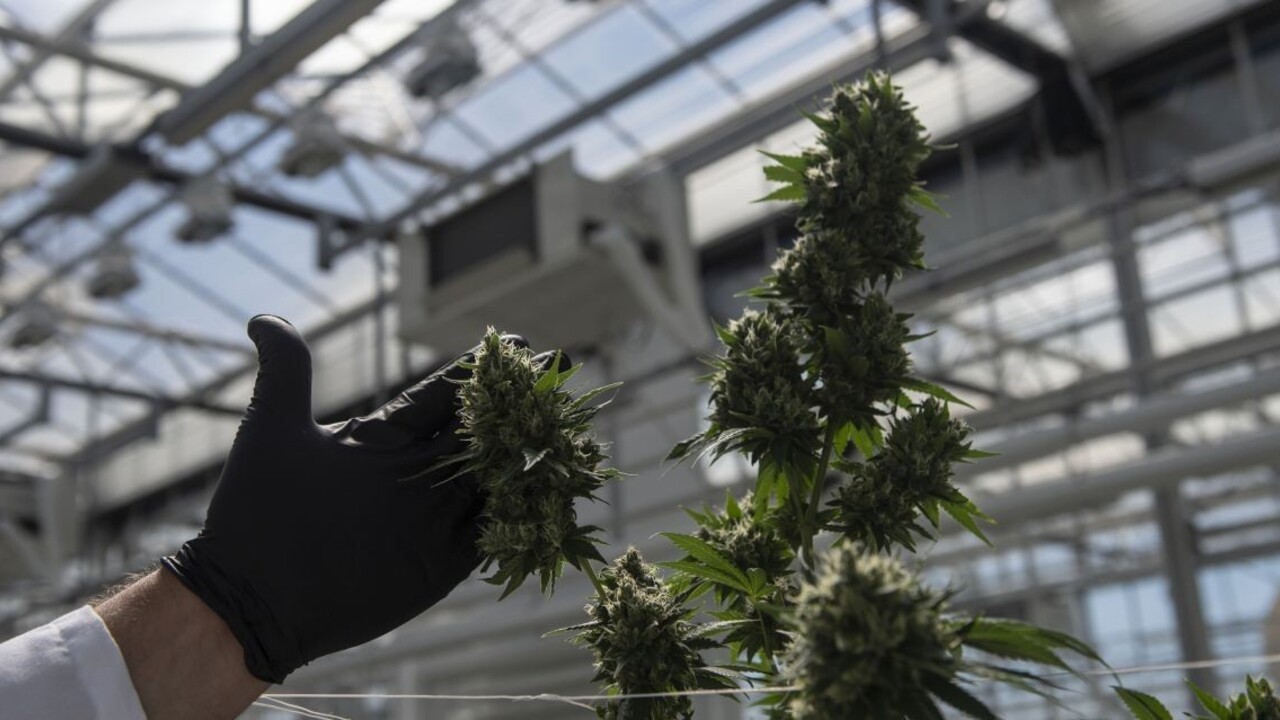 Po pohrebe skončili v rauši, hosťom dali marihuanové koláčiky