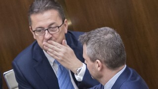 Musíme čakať, tvrdí premiér o Glváčovi. SaS nešetrí kritikou