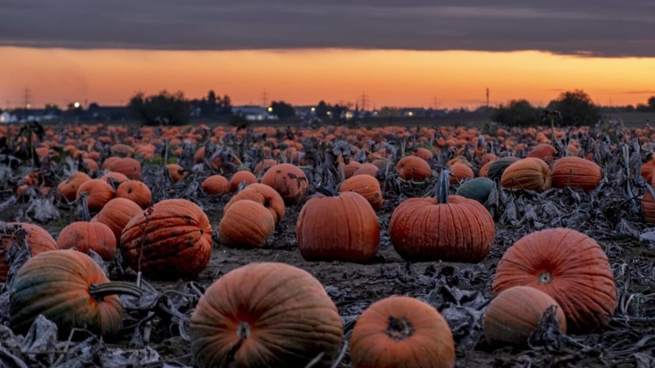 Halloweenska noc bude mrazivá, potom by mala prísť úľava