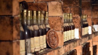 Slovenskí vinári čakajú výborný ročník, i tak majú problém