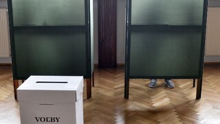 V parlamentných voľbách sa dá voliť nepriamo. Treba o to žiadať