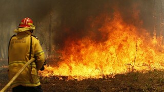Oheň ničí Austráliu. Rozsiahle požiare lesov si vyžiadali obete