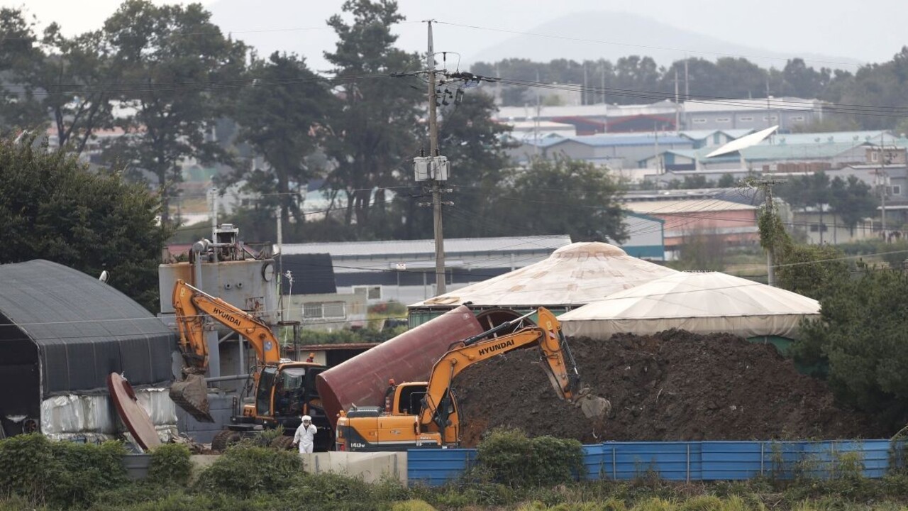 Rieka sa zmenila na krv. V Kórei zasiahli proti nákazlivej chorobe