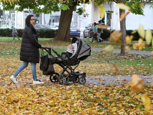 Do doby na vznik nároku na materské by sa mohlo zarátať aj štúdium, vyplýva to z návrhu novely zákona