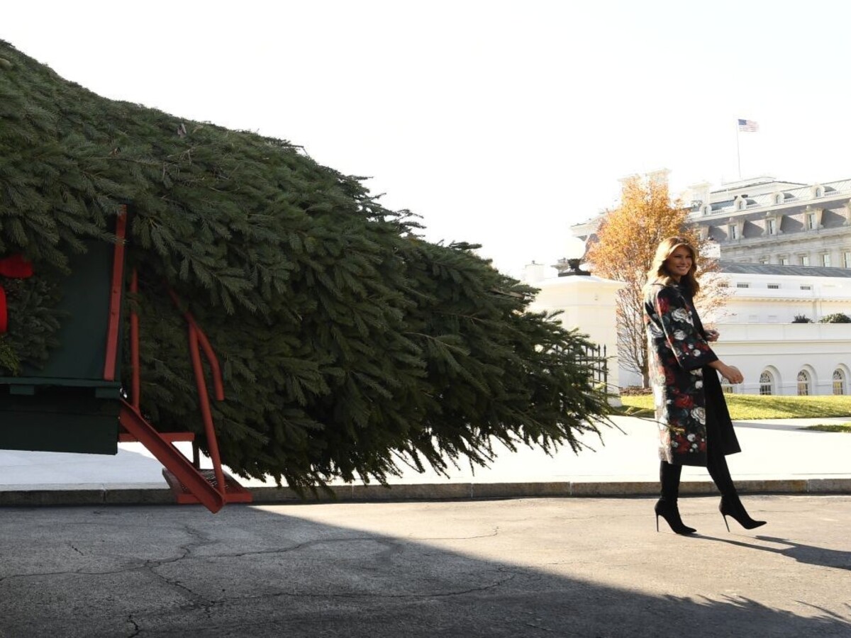 Melania prevzala stromček pre Biely dom, má niekoľko metrov