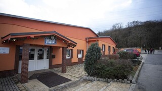 Za utýranie psa ide za mreže. Nie je to bežné, tvrdia ochranári