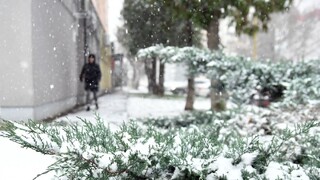 Kolóny a meškanie. Bratislavskú dopravu zasiahol prvý sneh