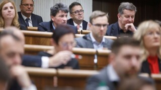 Rokovanie NR SR o interrupciách a zmenách v justícii