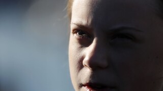 Greta Thunberg detail 1140px (SITA/AP)