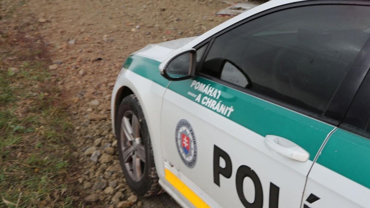V jarku našli zavraždenú ženu, polícia obvinila zraneného šoféra