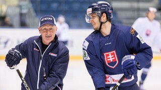Slovenskí hokejisti sa zišli v Bratislave, v nominácii nastali zmeny