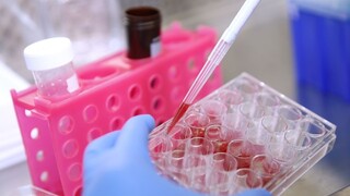 Zachránených 100 miliónov? Schválili nám zlúčenie eurofondov