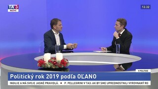 Politický rok 2019 podľa SNS, Smeru-SD, OĽANO a SaS. Konanie politikov a nálady voličov