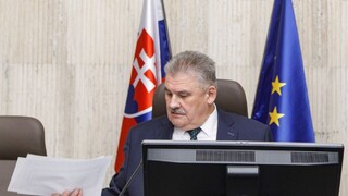 PS/Spolu podá podnet na Richtera, dôvodom sú rezortné letáky