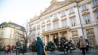 Na december je mimoriadne teplo, padnú na Slovensku rekordy?