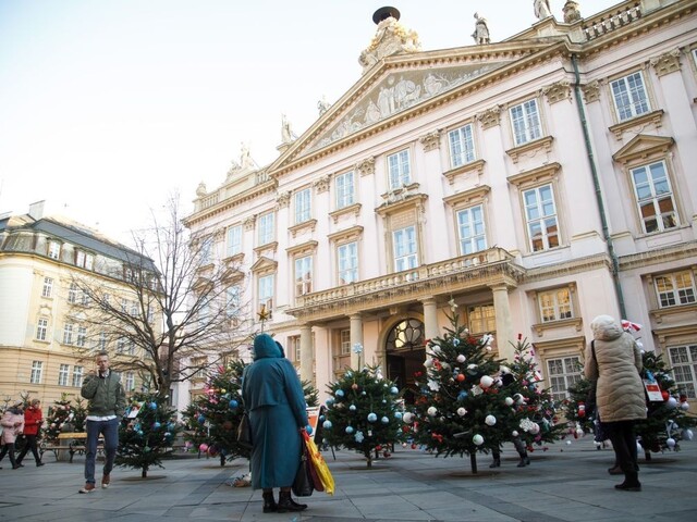 Na december je mimoriadne teplo, padnú na Slovensku rekordy?