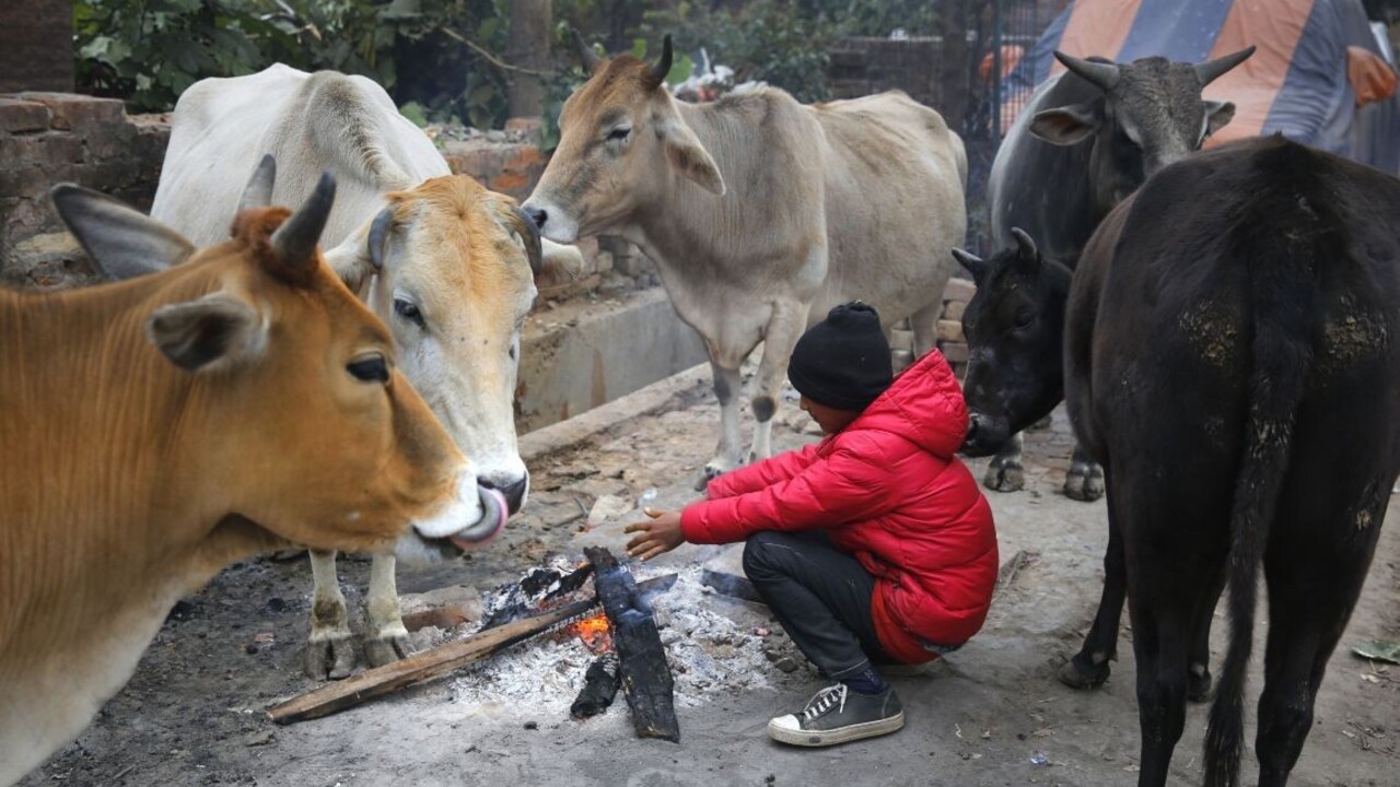 Zima je aj v Indii, namerali najchladnejší deň za 119 rokov