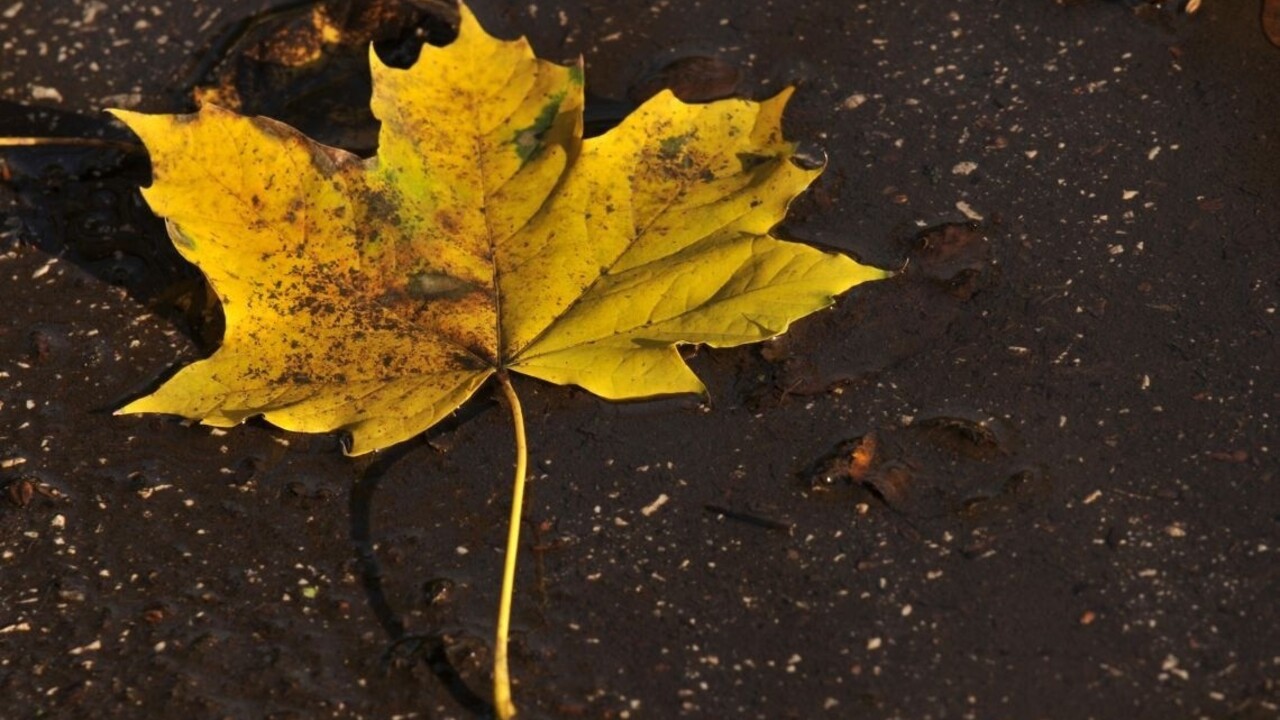 Krajný východ SR bol vlani najteplejší v histórii pozorovaní