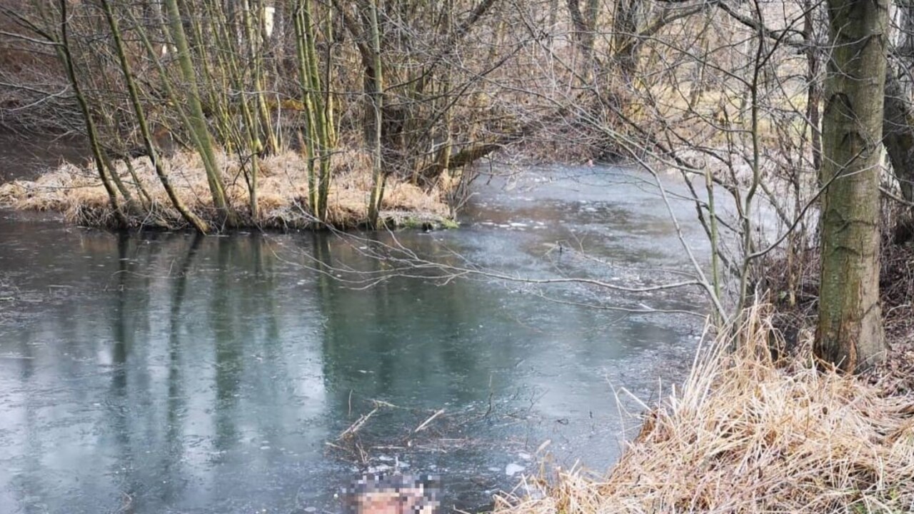 Pod ľadom našli dobodaného psíka, prípad už riešia policajti