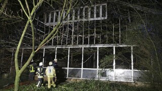 Lampióny šťastia zabili desiatky zvierat, zadržali matku s dcérami