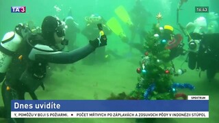 Sviatky oslávili pod vodou / Pes ako liek