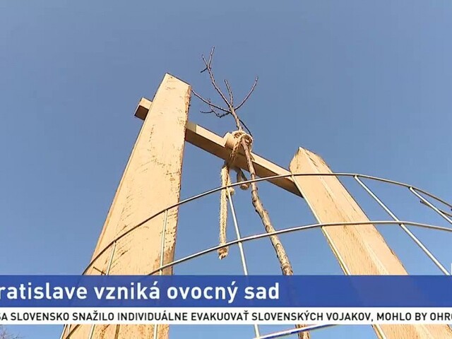 V Bratislave vzniká ovocný sad, priestor bude určený na relax