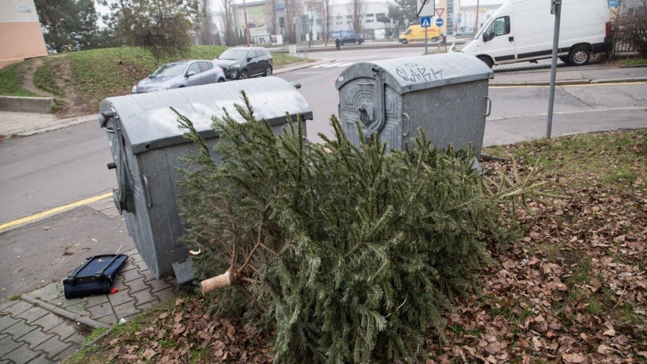 Sviatky sú za nami, začali s odvozom vianočných stromčekov