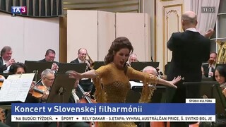 Koncert v slovenskej filharmónií / Popolvár v Amerike / Výprava Torzo Miloty Havránkovej / Don Quijote v Balete SND