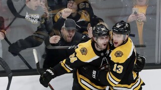 NHL: Halák s desiatym víťazstvom, asistencia Tatara nepomohla