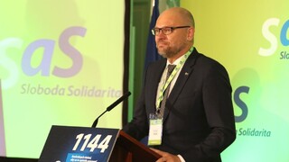 SaS ponúka návod na lepšie Slovensko, predstavila 1144 opatrení