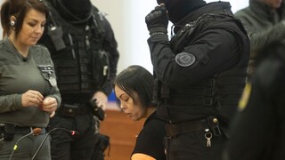 Predniesli obžalobu. Kuciaka mali najprv uniesť, dopadlo to inak